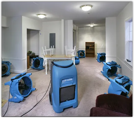 Mold Remediation & Removal in Maine, NY