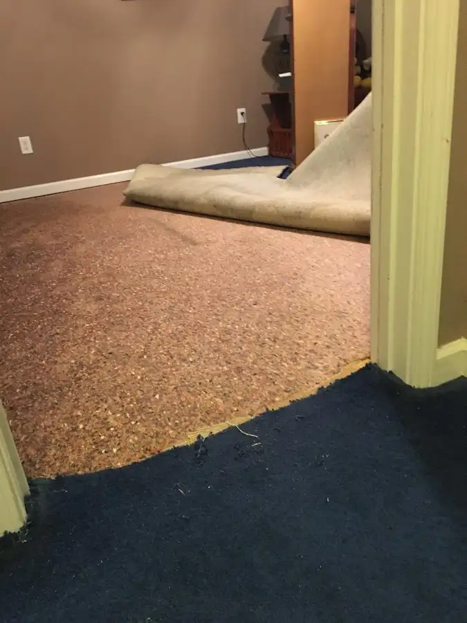 Carpet pad removal revealing water damage during Water Mitigation Services in Maine