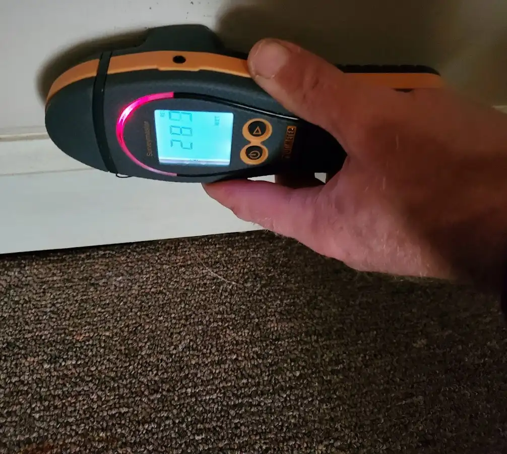 Moisture detection at baseboard during Sewage Cleanup & Sanitation in Maine
